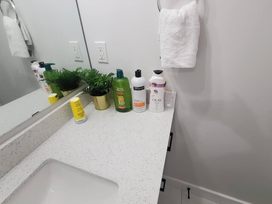 Apartment Charming 2-bedroom Basement Oasis Sleeps 5,size-150sqm, Netflix, Family Friendly Edmonton